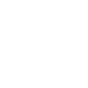 The Last of Us Logo